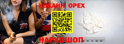 крисы Кингисепп