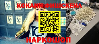 крисы Кингисепп