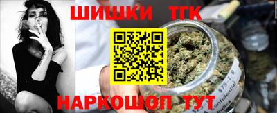 крисы Кингисепп