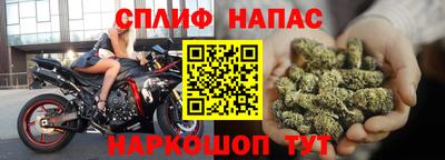 крисы Кингисепп