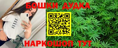 крисы Кингисепп