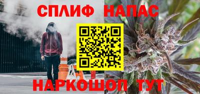крисы Кингисепп