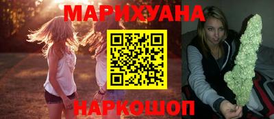 крисы Кингисепп