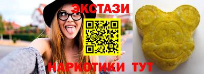 крисы Кингисепп