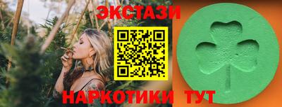 крисы Кингисепп