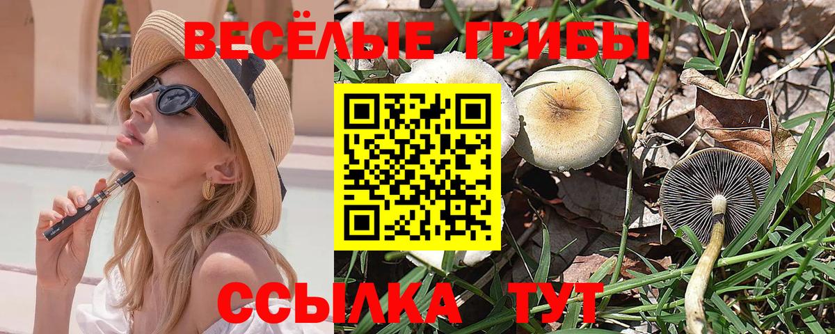 Галлюциногенные грибы Magic Shrooms Урус-Мартан