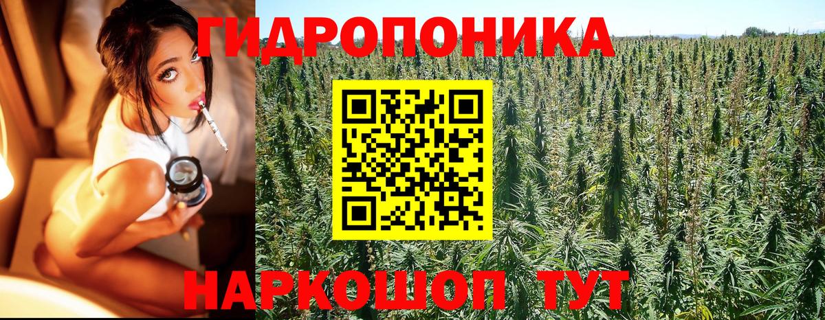 Канабис марихуана Урус-Мартан